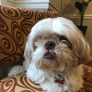 Meet your Posher, Glenn